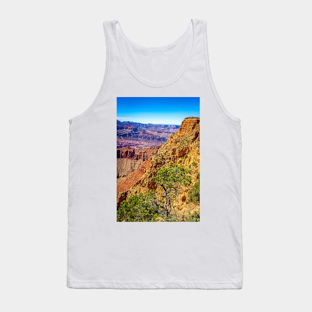 Lipan Point Grand Canyon Tank Top by Gestalt Imagery